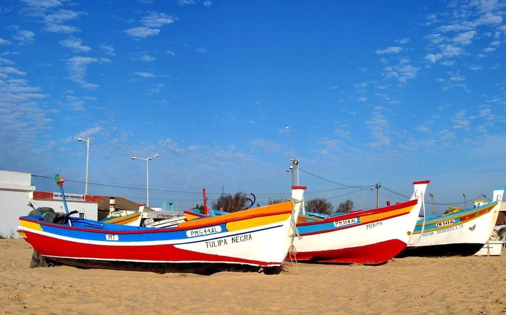 Appt The Feet In The Water - 100m From The Beach