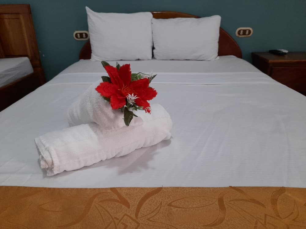 Arenal Poshpacker - Hostel