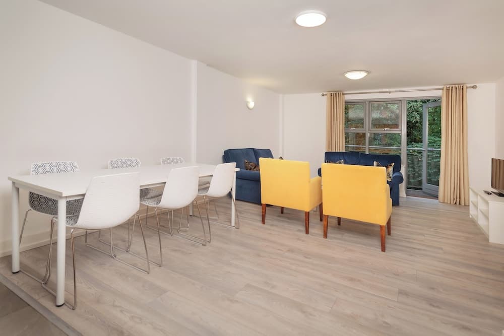 Dromroe Village University of Limerick