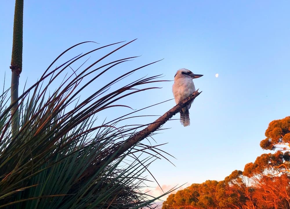 Eleanor River Homestead