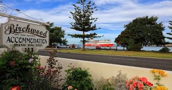 Birchwood on the River