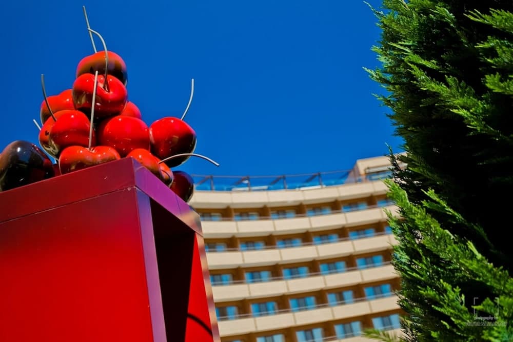 hotel image