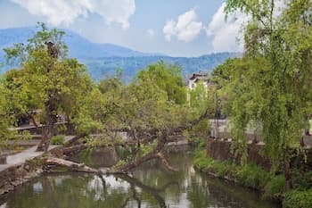 Banyan Tree Tengchong