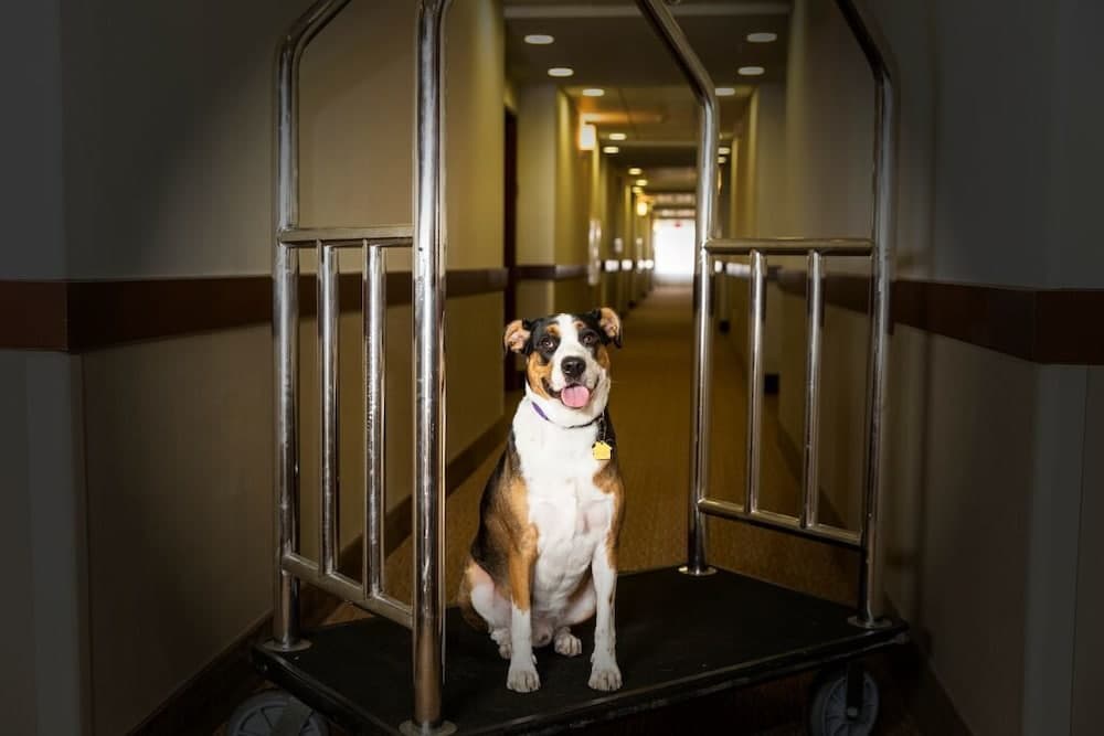 hotel image