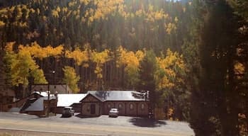 Amizette Inn and Restaurant