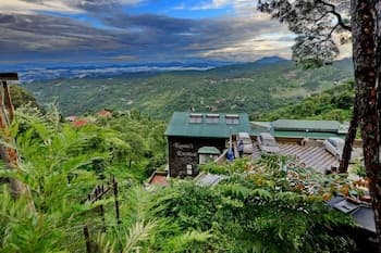 Kasauli Exotica