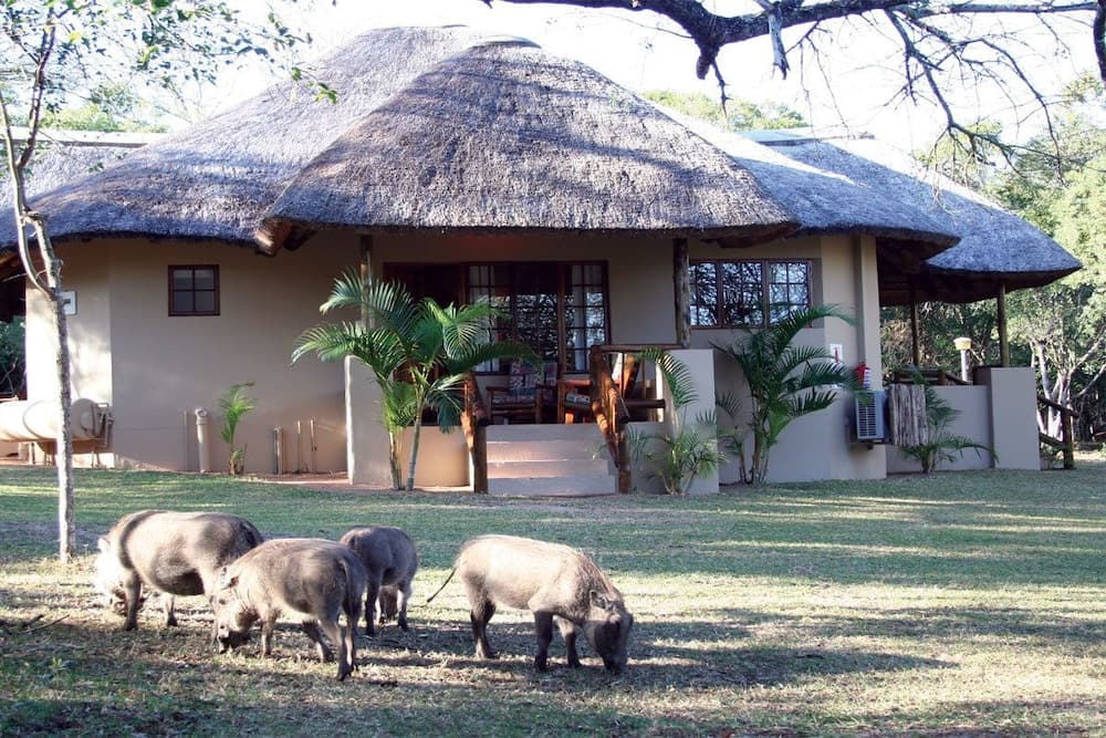 Bonamanzi Game Reserve