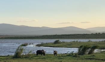 Shayamoya Tiger Fishing and Game Lodge