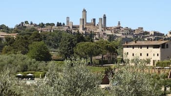 Fattoria Abbazia Monte Oliveto