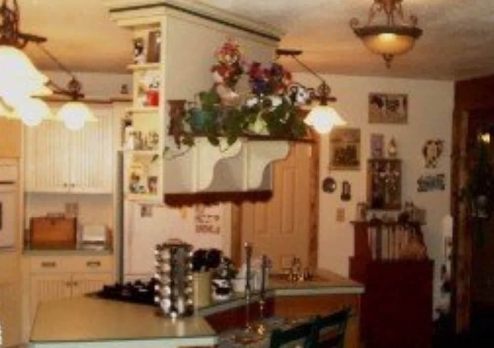 Blonde Bear Bed & Breakfast