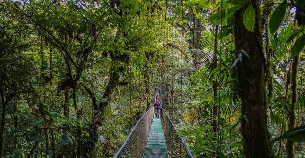 Heliconias Lodge and Rainforest