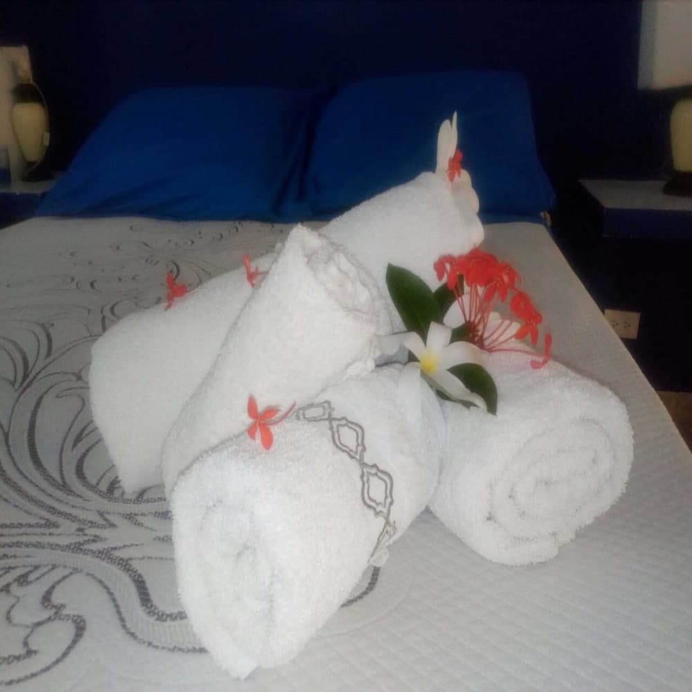 House Jardin Del Caribe