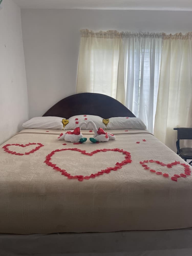 Palm View Guesthouse and Conference Centre