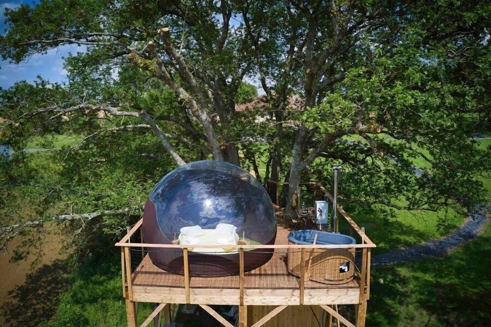 Les Bulles Perchées de Lartigue