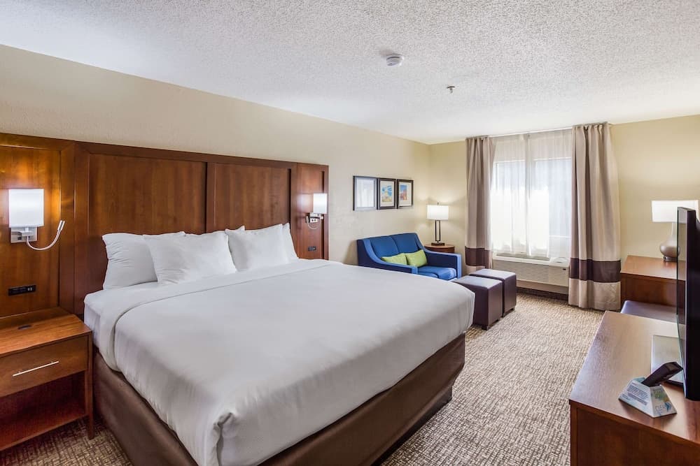Comfort Inn Charleston South