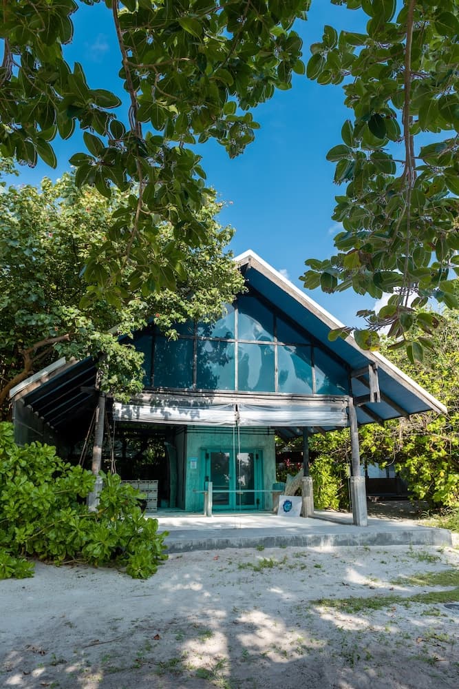 Mi Lugar Retreat and Spa