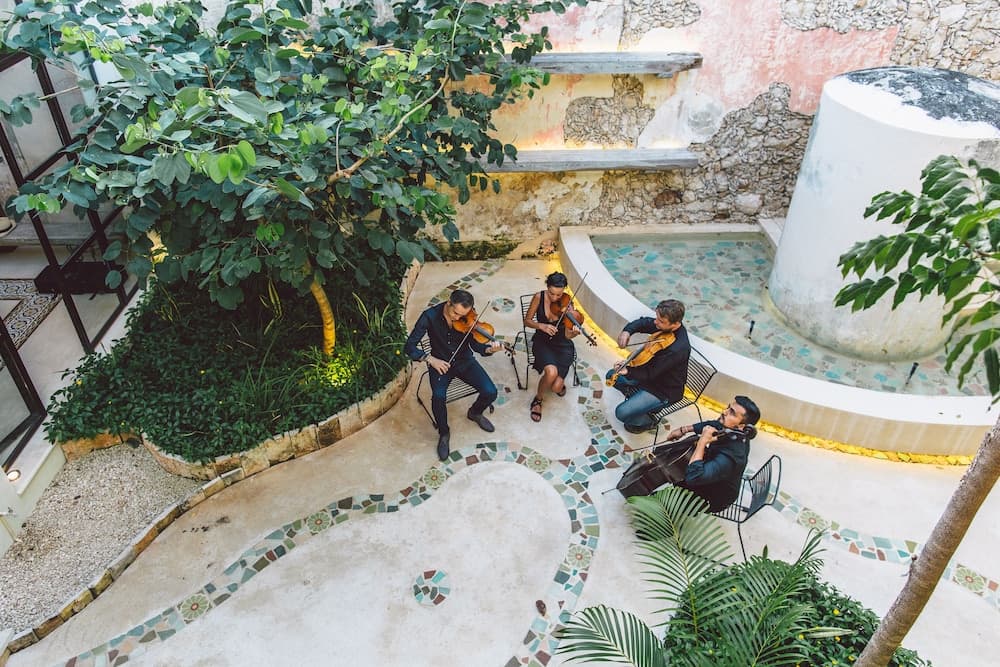 TreeHouse Boutique Hotel - Adults Only