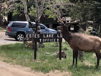Estes Lake Lodge