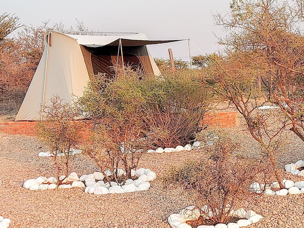 ZenZontle GlampingSMA By Rotamundos