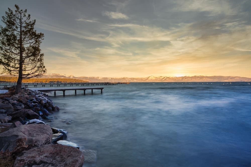 Fox St Criterion 54 - Aster