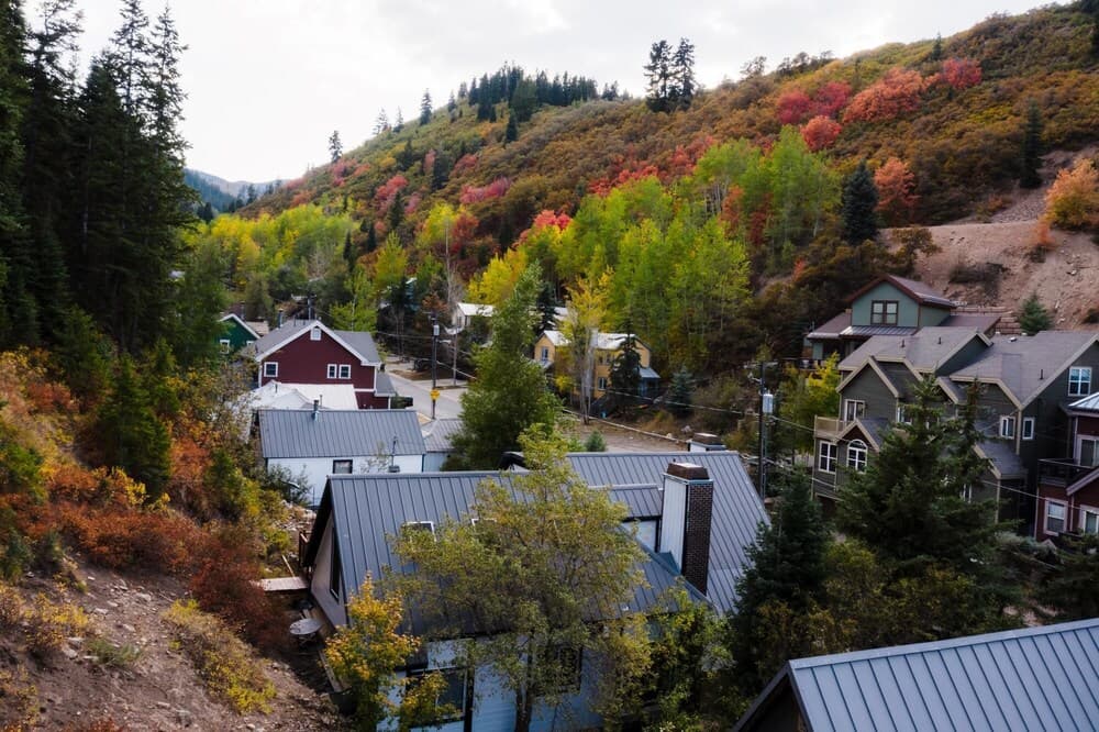 Daly Buyout 2 3 - Corduroy Sage