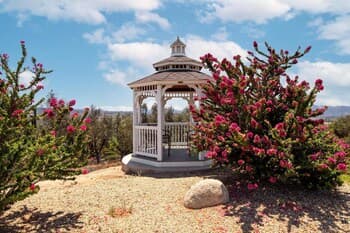 Linda Rosea - Sangiovese