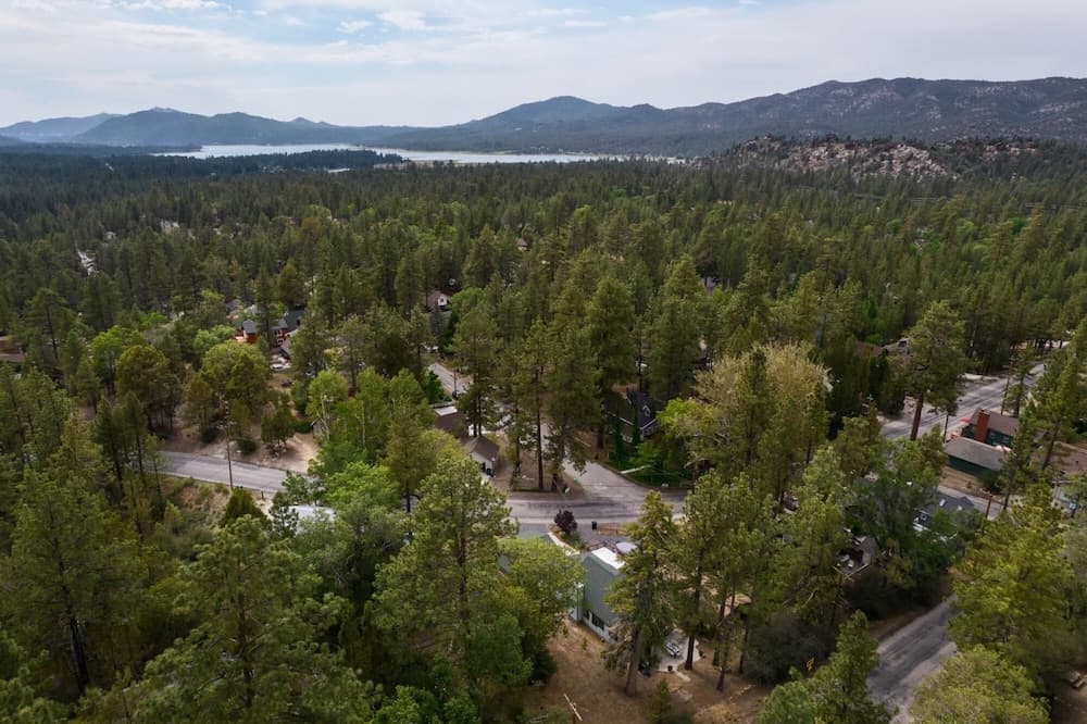 Cougar Rd - Cougar Lodge