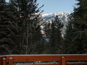 Luxury 5 Bedroom Blueberry Chalet