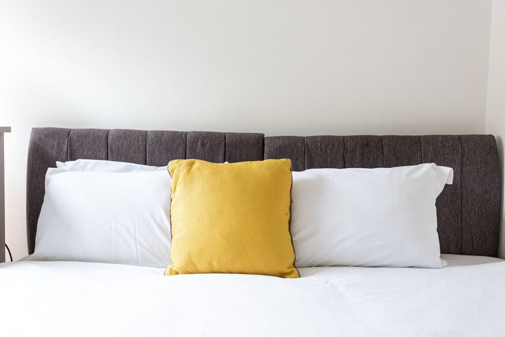 The Chase by Sorted Stay