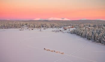 Torassieppi Eco Reindeer Resort