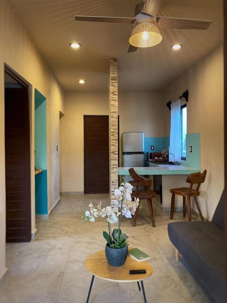 Macondo Raíz Holbox