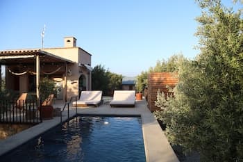 Almaliebre Viñedos del Valle