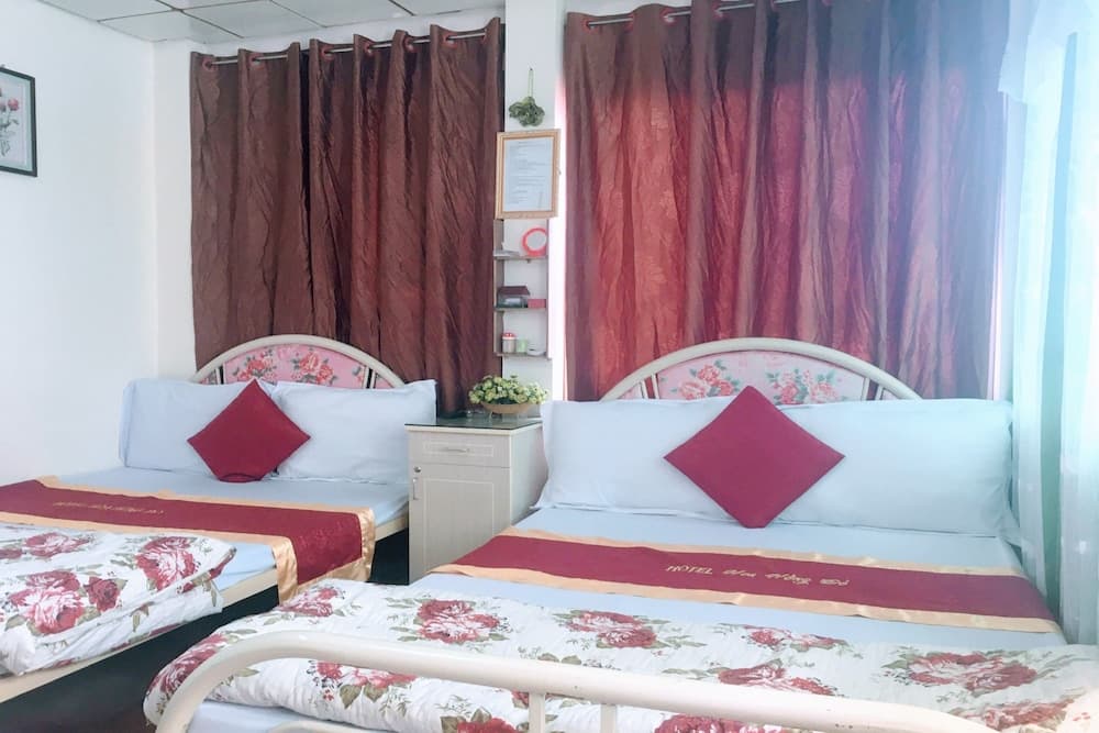 Hoa Hong Do Guesthouse