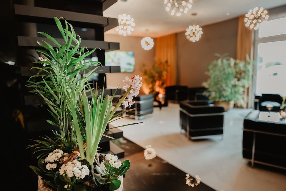 Best Western Plus Hotel Brueggen