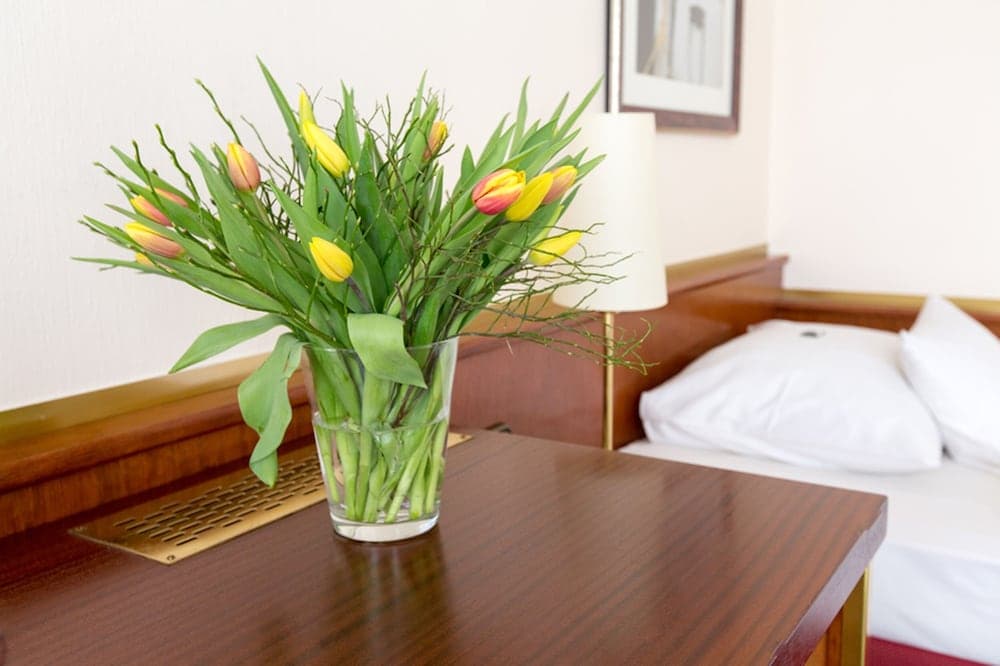 Amedia Siegen, Trademark Collection by Wyndham