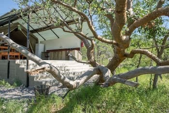 Etosha Safari Camping2Go