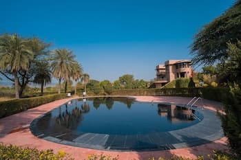 Clarks Safari Pushkar