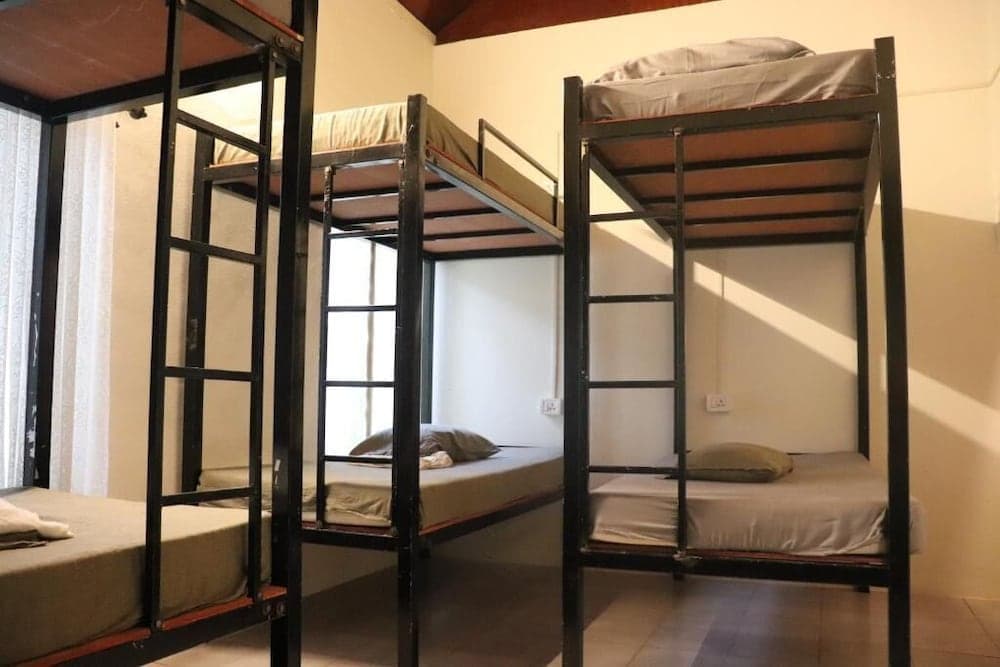 Piggy Hostel Varkala