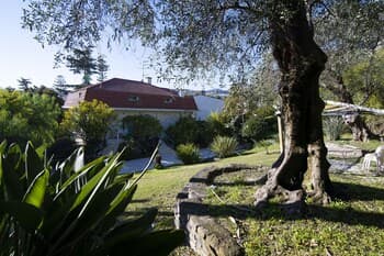 The Holiday Apartments