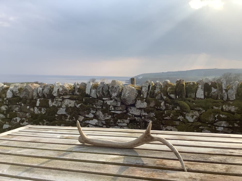 Bespoke Hand Built Shepherds Hut in Dunbeath