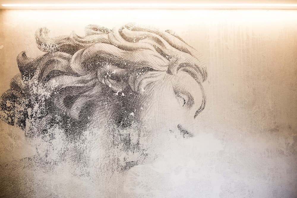 VipVerona Luxury Apartment