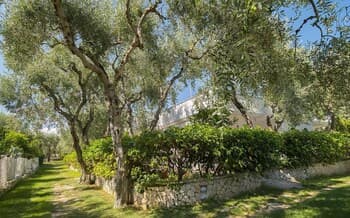 Apartment Ulivo With Pool and Private Beach