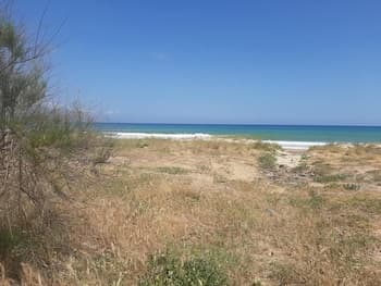 Appartamento Arancina a 150 Metri dal Mare