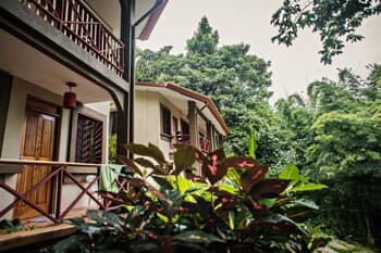 Eco-condo Serviced Apartments in Quepos w Pool Wildlife Visits