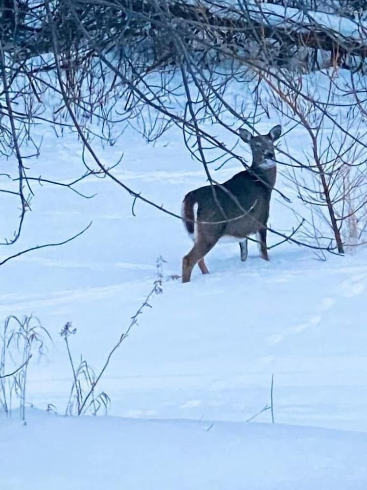 Silver Sands Hotel Rv Park