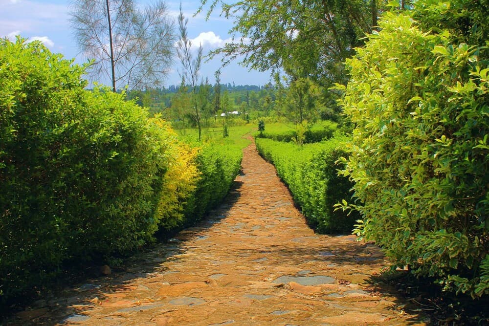 Nguge Hills Lodge & Wellness Retreat