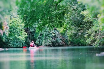 5 Son's Geronimo - Birdhouse Cabin