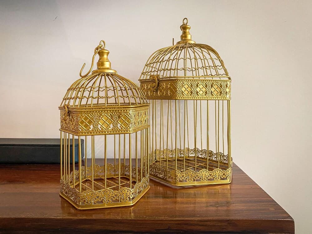 Friends and Family Luxury Apartment