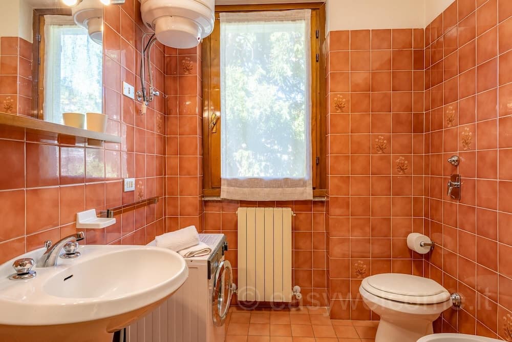 Easy Welcome Primula