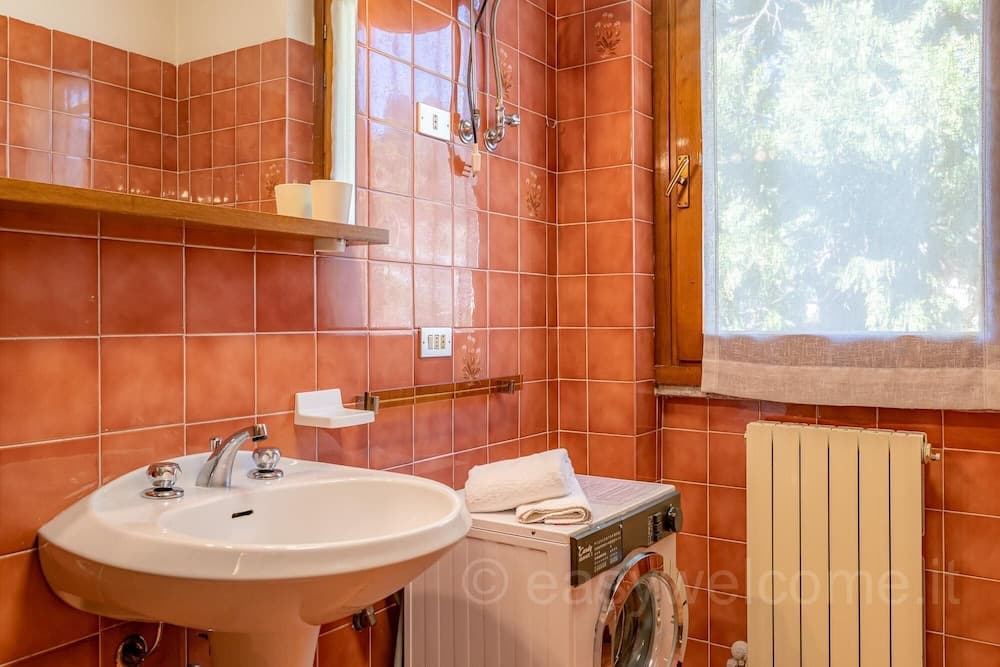 Easy Welcome Primula